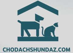 CHODACHSHUNDAZ.COM